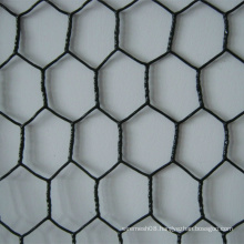 Hexagonal Wire Netting After PVC Coated